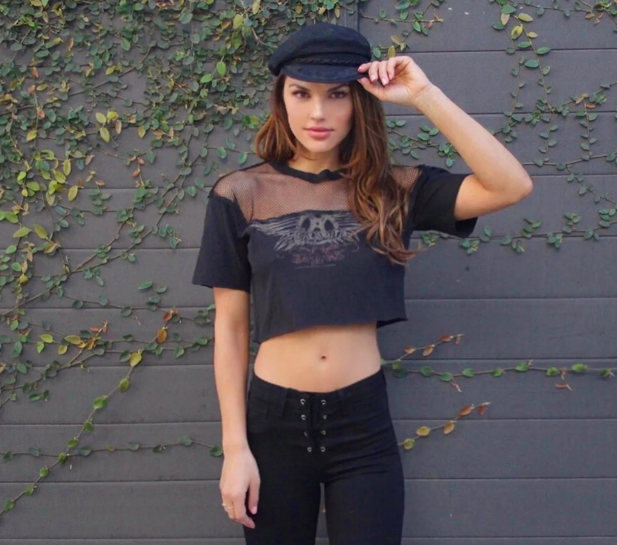 Dream On Aerosmith Crop Top