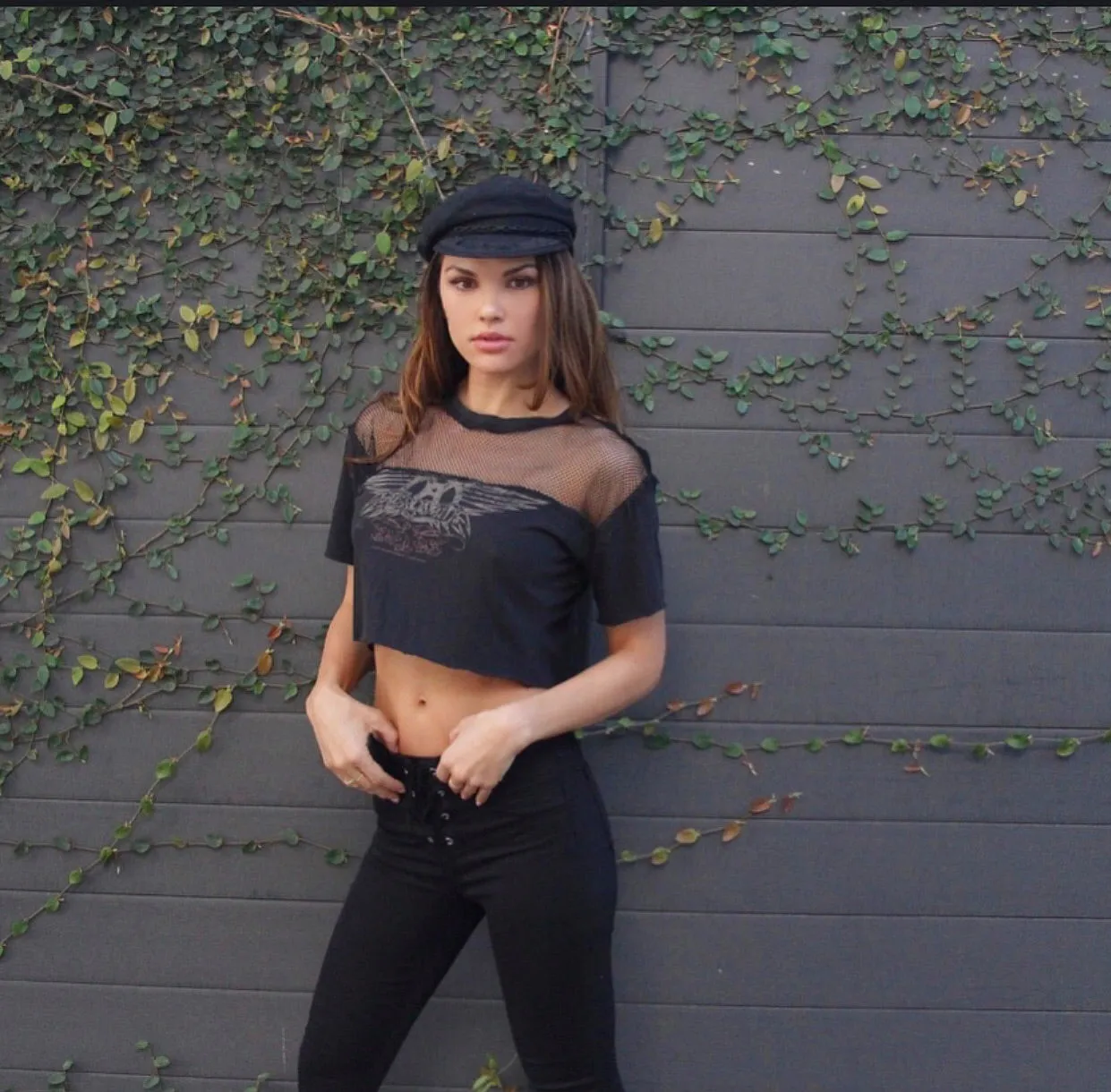Dream On Aerosmith Crop Top